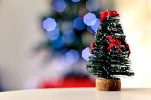 Arquidiocese de Natal promove mudanças em paróquias após missa solene