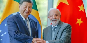 Brasil e China aprofundam cooperação ambiental com foco em financiamento e proteção de florestas tropicais