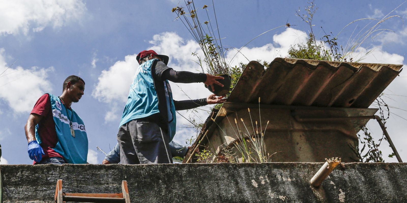 Distrito Federal promove dia de combate à dengue