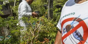 Casos prováveis de dengue no Brasil despencam 69,25% em 2025, mas alerta permanece