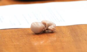 Justiça suspende resolução do Conanda sobre aborto legal em menores