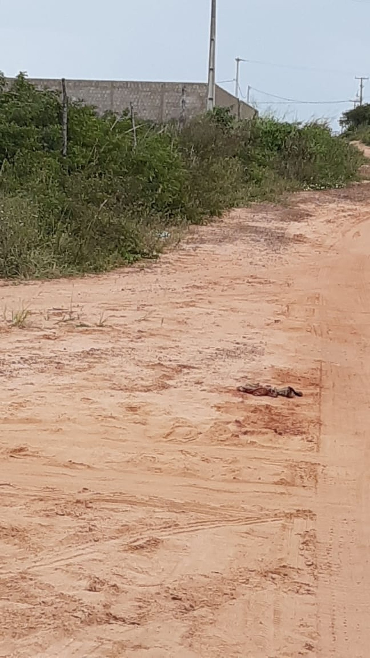 Mulher condenada por envolvimento em assalto e tentativa de assassinato de motorista por aplicativo é presa na Grande Natal