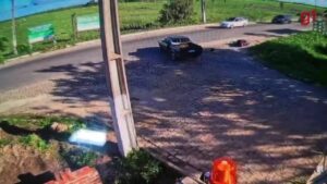 Enxame de abelhas ataca motorista e motociclista em Goianinha, RN; vídeo registra o incidente