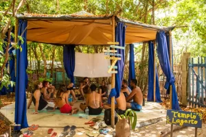 Filme ‘Ainda Estou Aqui’, com Fernanda Torres, concorre ao Oscar 2025 e recebe homenagem no Senado