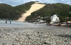 Natal: M Construções vence licitação para limpeza da engorda de Ponta Negra
