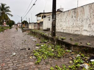 Natal Sob Alerta: Chuvas Intensas Causam Cratera, Queda de Árvores e Alagamentos