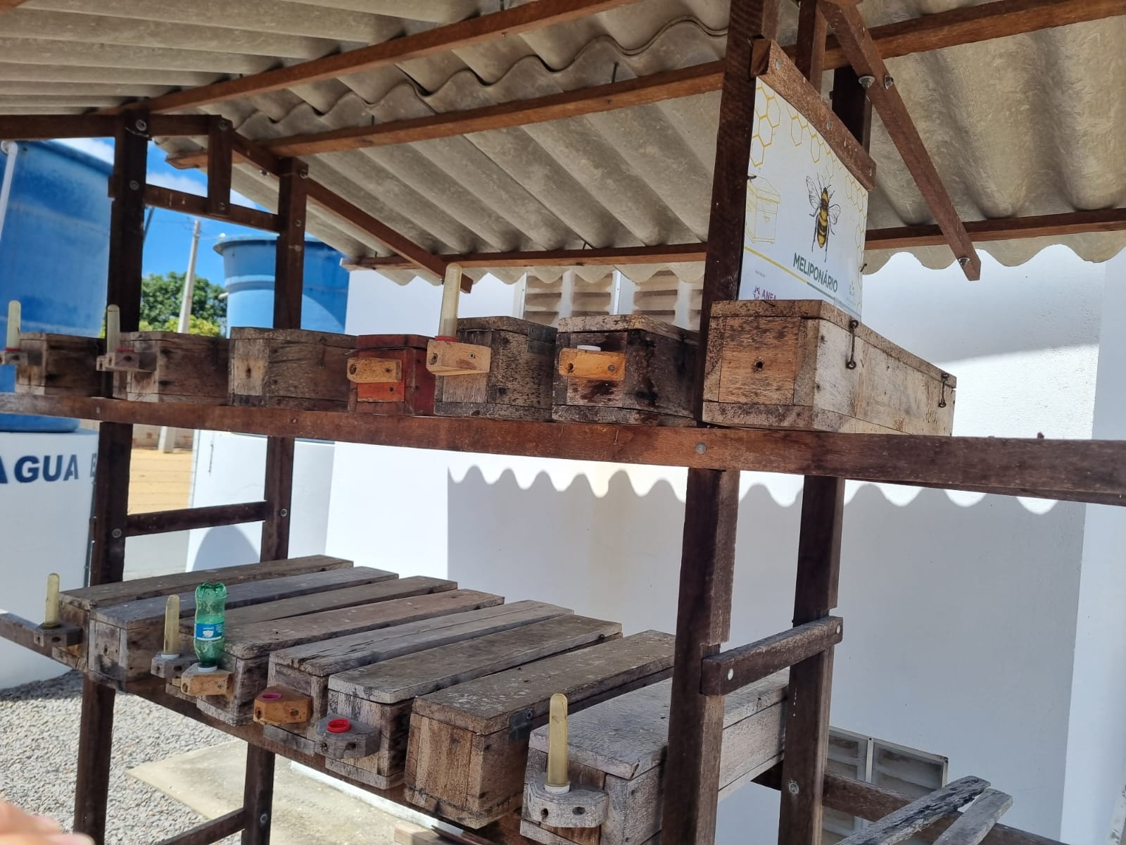 Projeto Vale Sustentável impulsiona economia rural no RN com criação de abelhas nativas