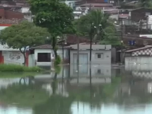 Brasil Registra Aumento Alarmante de Desastres Climáticos, Aponta Estudo da Unifesp