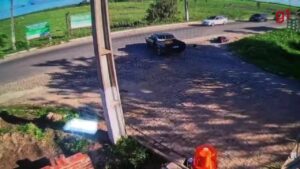 Umarizal, RN: Homem Morre Após Ataque de Abelhas em Sítio