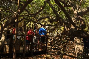 Parques do RN têm horários especiais para o feriado do Dia do Trabalhador