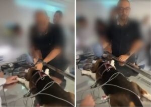 Polêmica envolvendo veterinário que teria provocado parada respiratória em cachorro durante aula na UNP