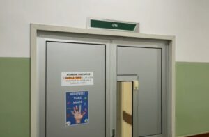 Urgente: Mulher é Hospitalizada Após Sofrer Mais de 1,5 Mil Picadas de Abelha em Parnamirim, RN