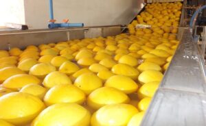 Balança comercial do Rio Grande do Norte registra superávit de US$ 17,9 milhões em abril