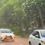 Chuva em Natal causa transtornos no trânsito com quedas de árvores e pontos de alagamento
