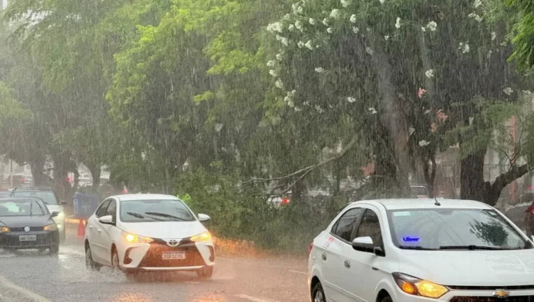 Chuva em Natal causa transtornos no trânsito com quedas de árvores e pontos de alagamento