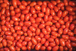 Natal: Aumento no preço do tomate impulsiona alta da cesta básica em abril, aponta Dieese