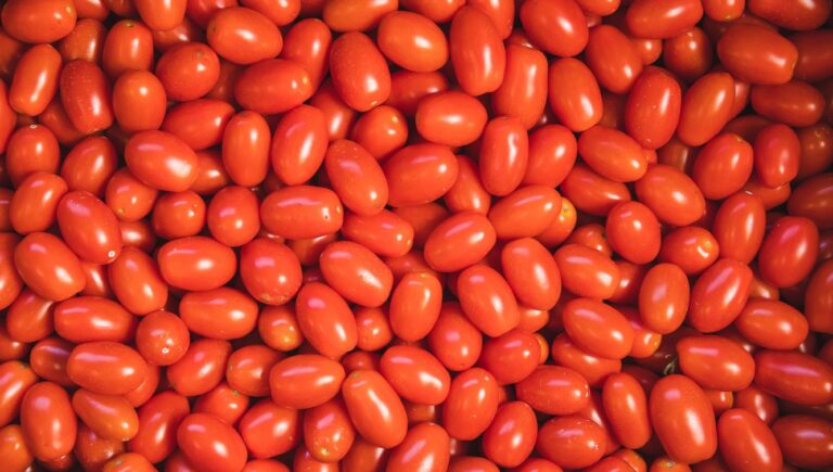 Natal: Aumento no preço do tomate impulsiona alta da cesta básica em abril, aponta Dieese